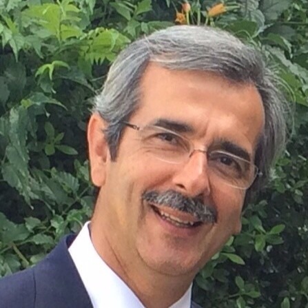 Prof. Doutor Luís Costa